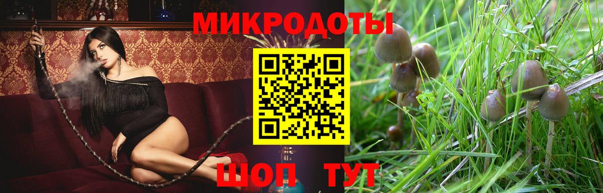 Псилоцибиновые грибы Magic Shrooms  Вход с VPN  Галлюциногенные грибы Psilocybine cubensis  Нижнекамск 